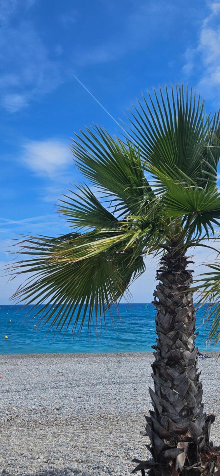 Studio Saint-Laurent-Du-Var Bord De Mer Extérieur photo